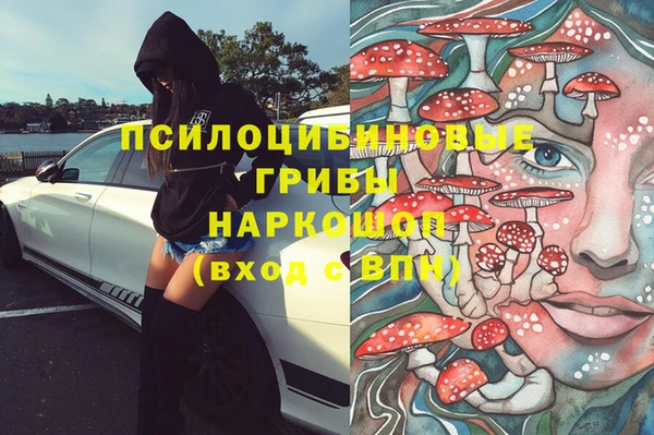 шишки Балабаново