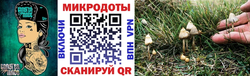 как найти закладки  Красноуфимск  Псилоцибиновые грибы Psilocybine cubensis 